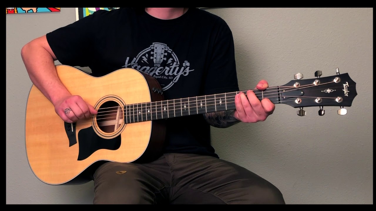 Taylor 317e Demo
