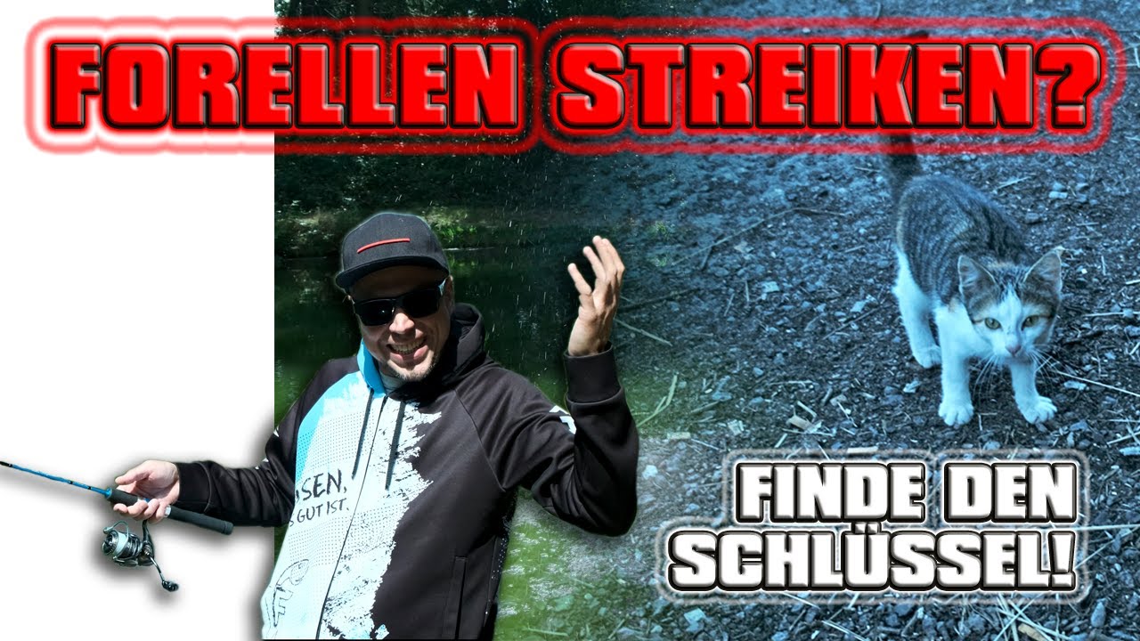 Forellen STREIKEN? Finde den richtigen SCHLÜSSEL! Forellenangeln mit FANGENSWERT