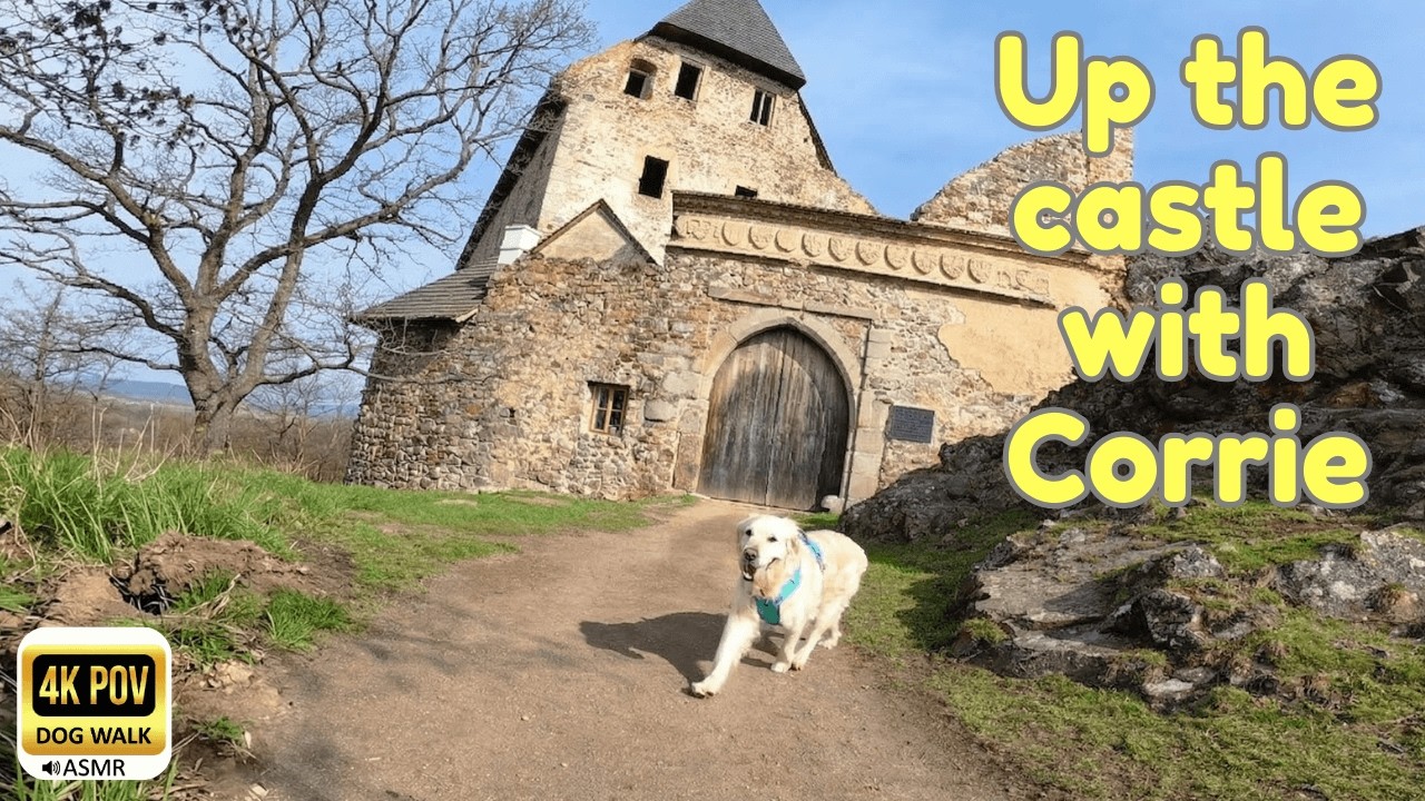 Day 31: Hiking to a Medieval Castle! 🏰 Sunny Forest Ridge Walk with Corrie | 4K POV ASMR No Talking