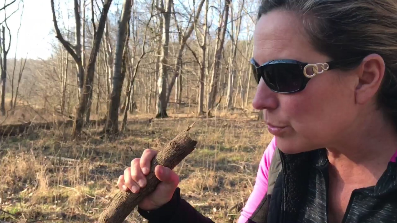 VLOG 14: drama mama