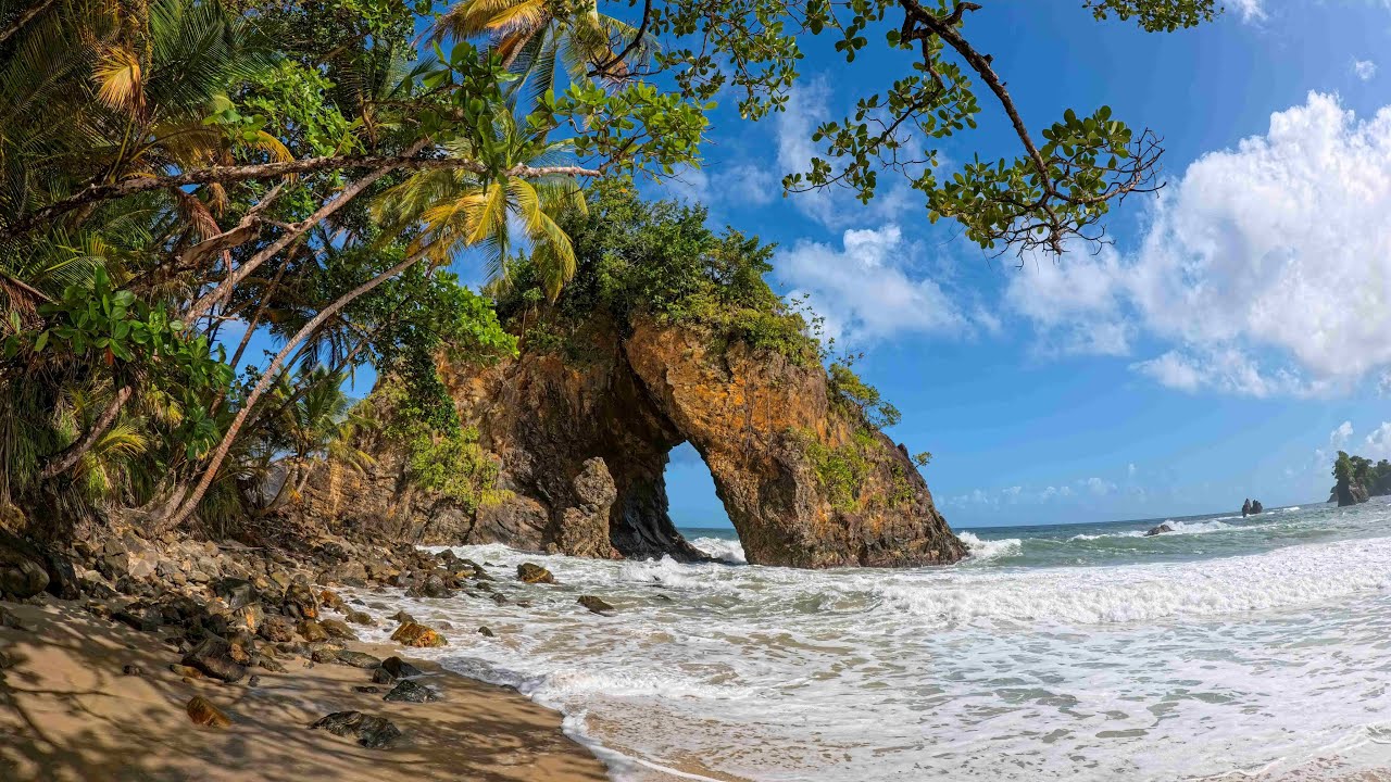 Wonders of Trinidad's North Coast Paria Bay & Waterfall