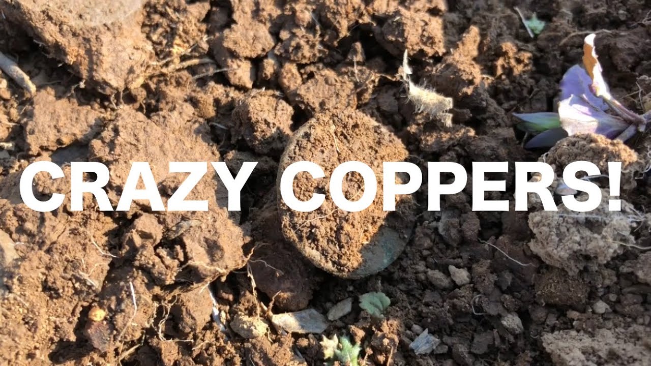 Episode #15 CRAZY Coppers! - Metal Detecting U.S. and British Coppers AND Buttons