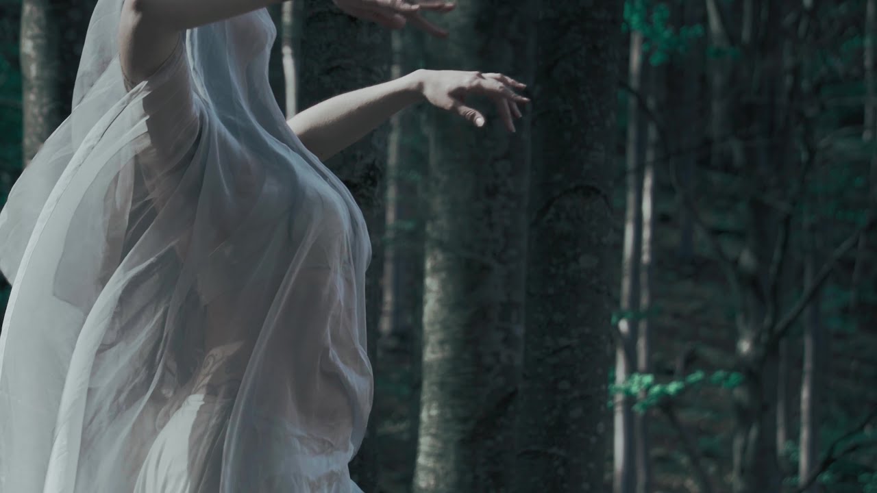 A Tergo Lupi - Heal the Tree (Official Video)