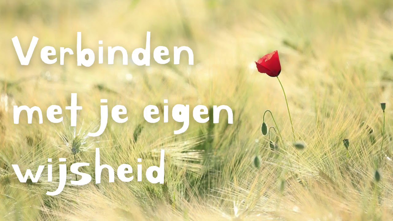 Visualisatie / geleide meditatie - Verbinden met je eigen wijsheid