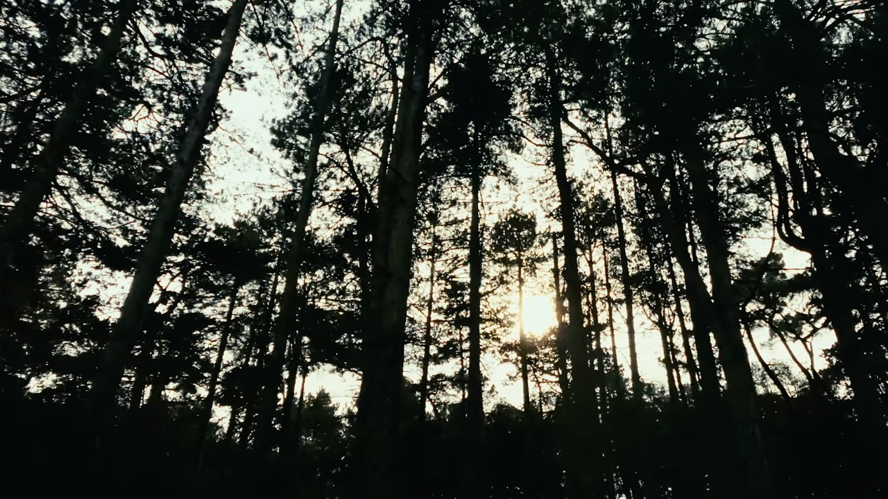 Shot on iPhone
