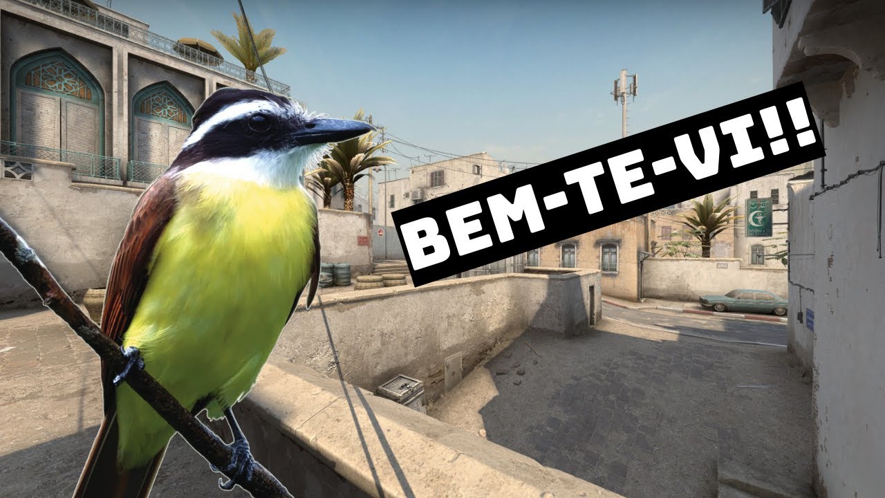 BEM-TE-VI JOGANDO CS:GO