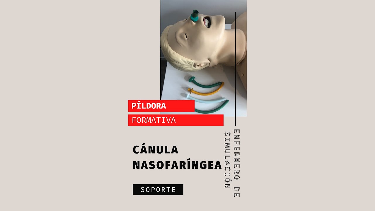 A. C&aacute;nula nasofar&iacute;ngea