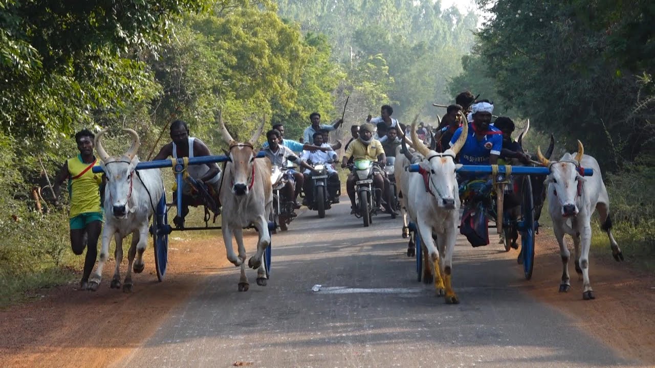 ETSS - நெற்புகப்பட்டி சின்னமாடு - 20/08/2026