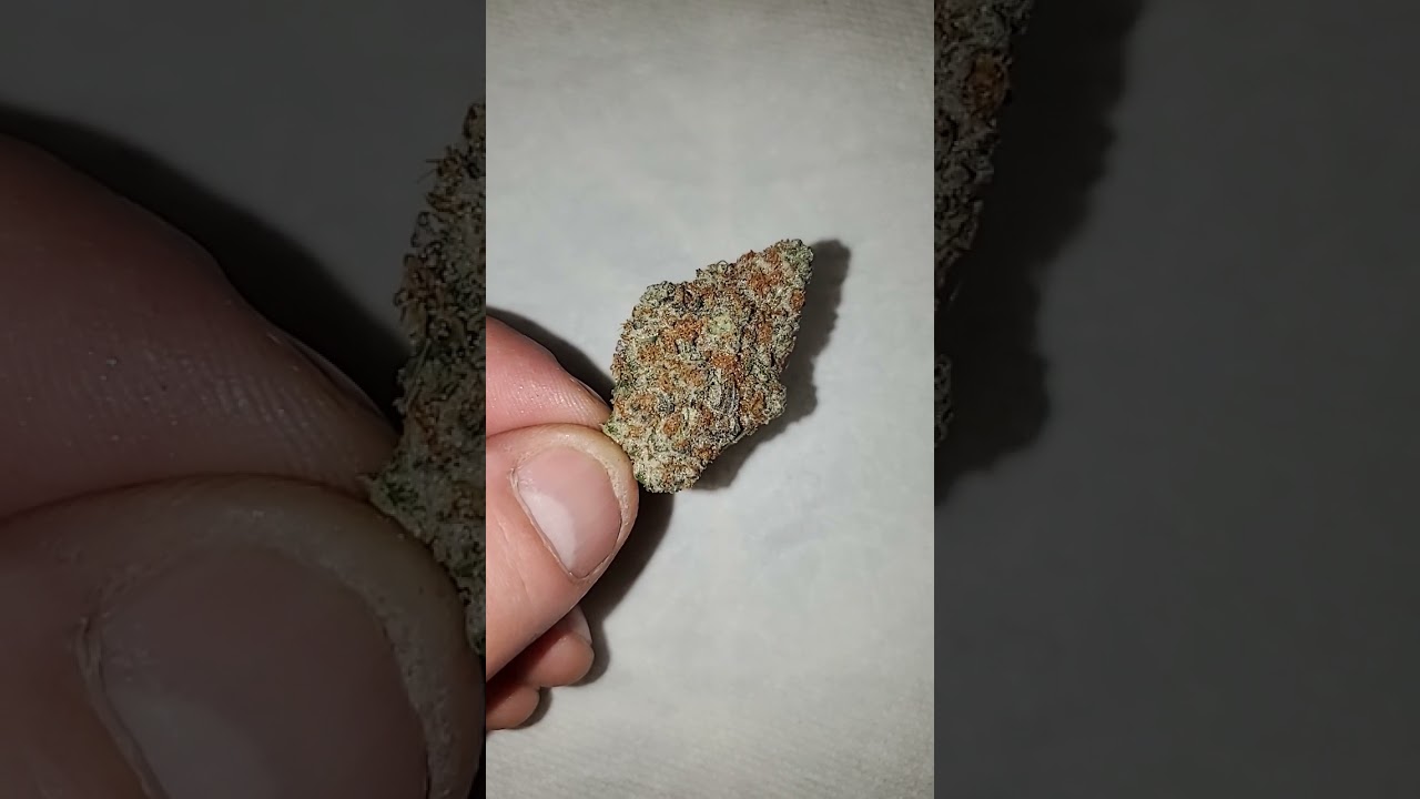 SLURRICANE STRAIN !!!!!!!