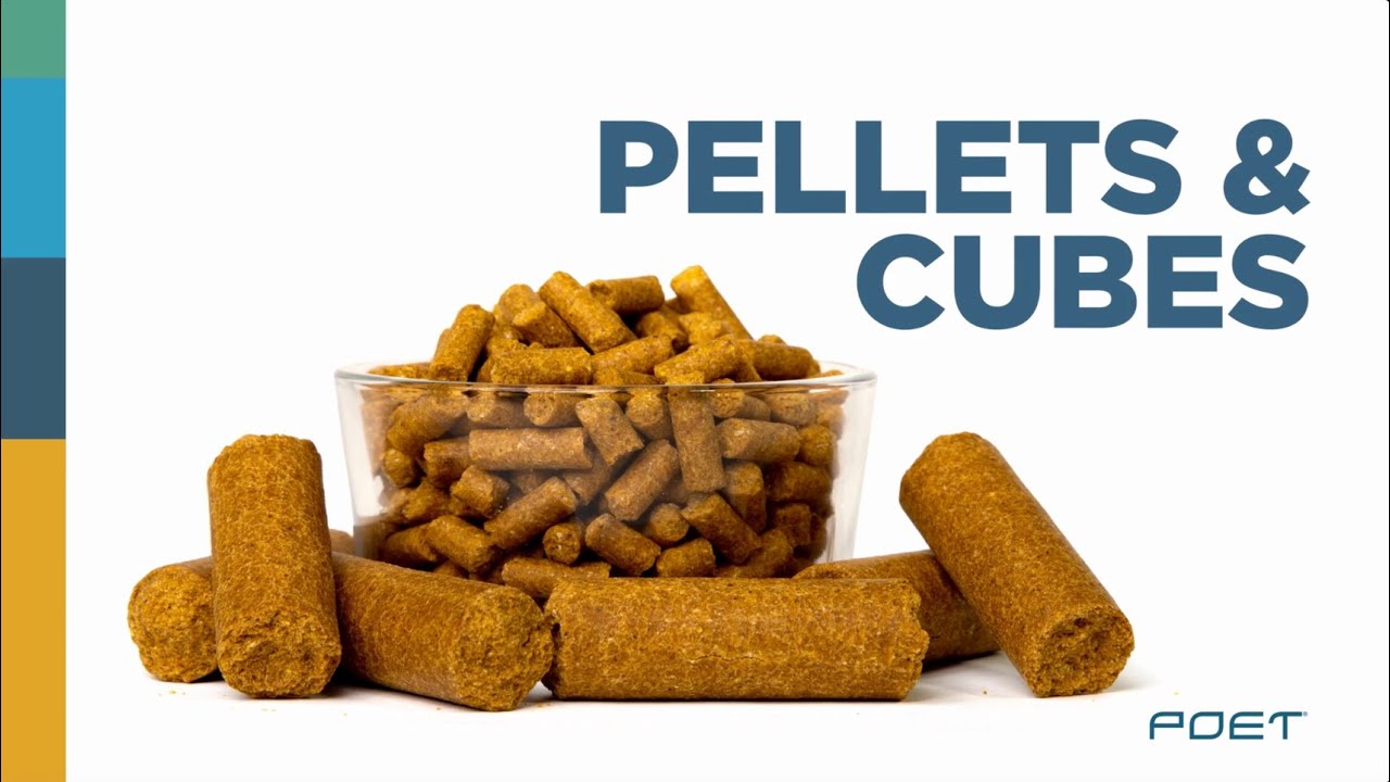 POET Pellets & Cubes