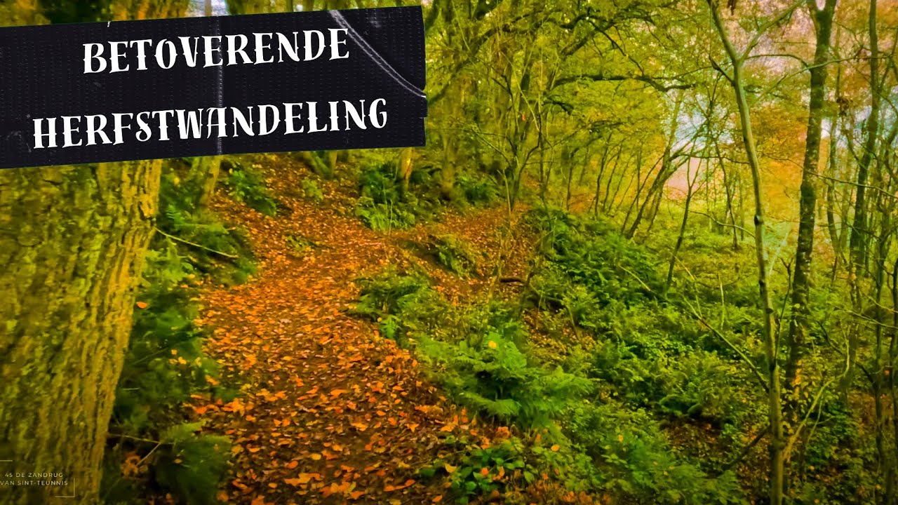 45 De Zandrug van Sint-Teunnis | 10 min.