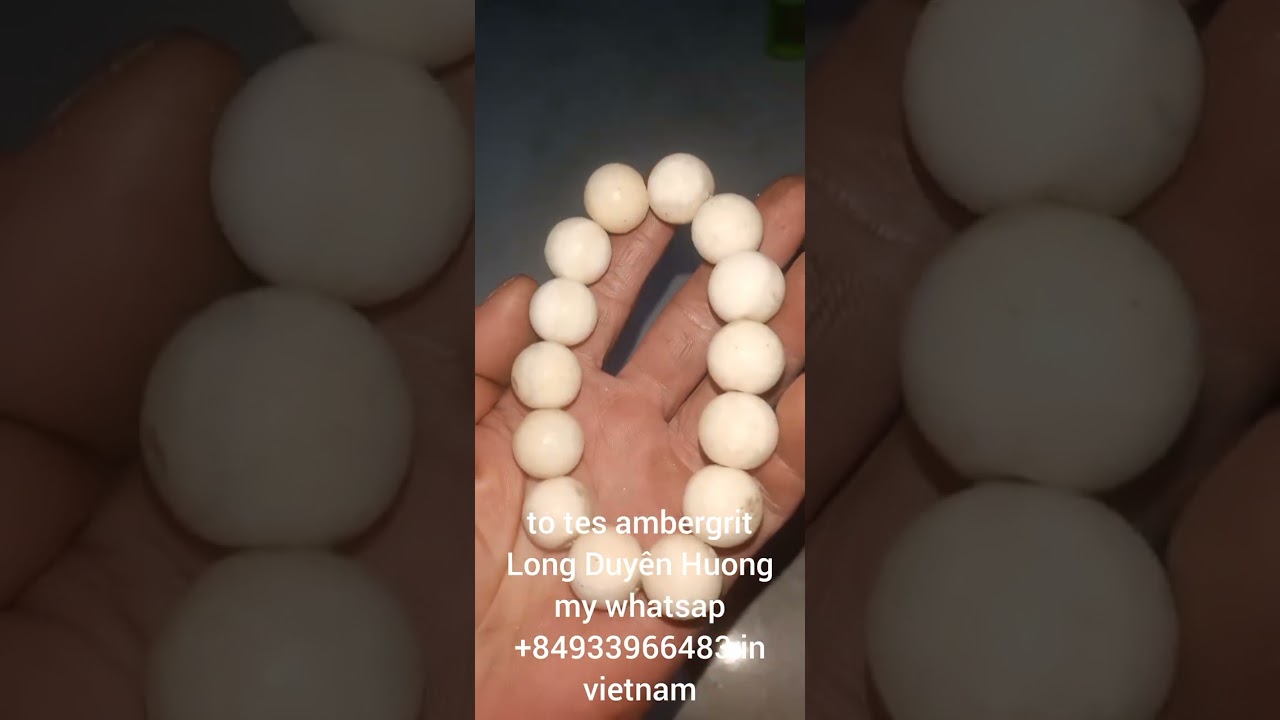 to tes ambergrit long duyên hương