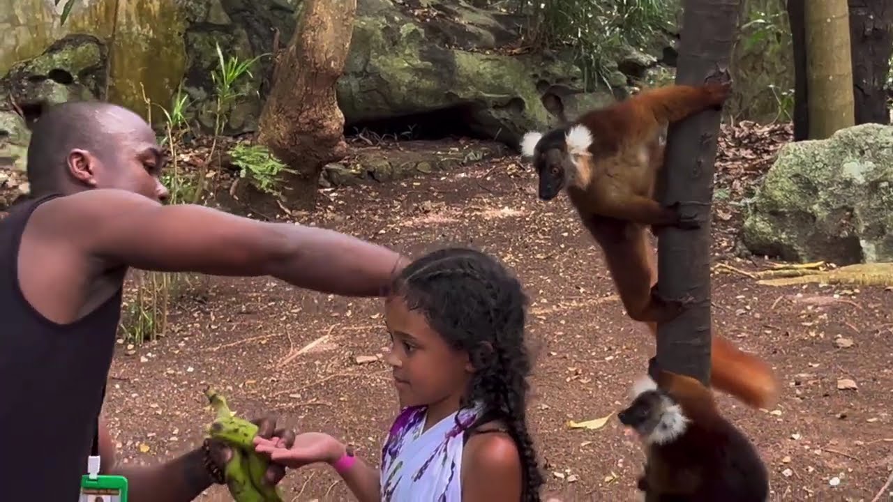 Deux semaines à la rencontre des malgaches résumées en deux heures !