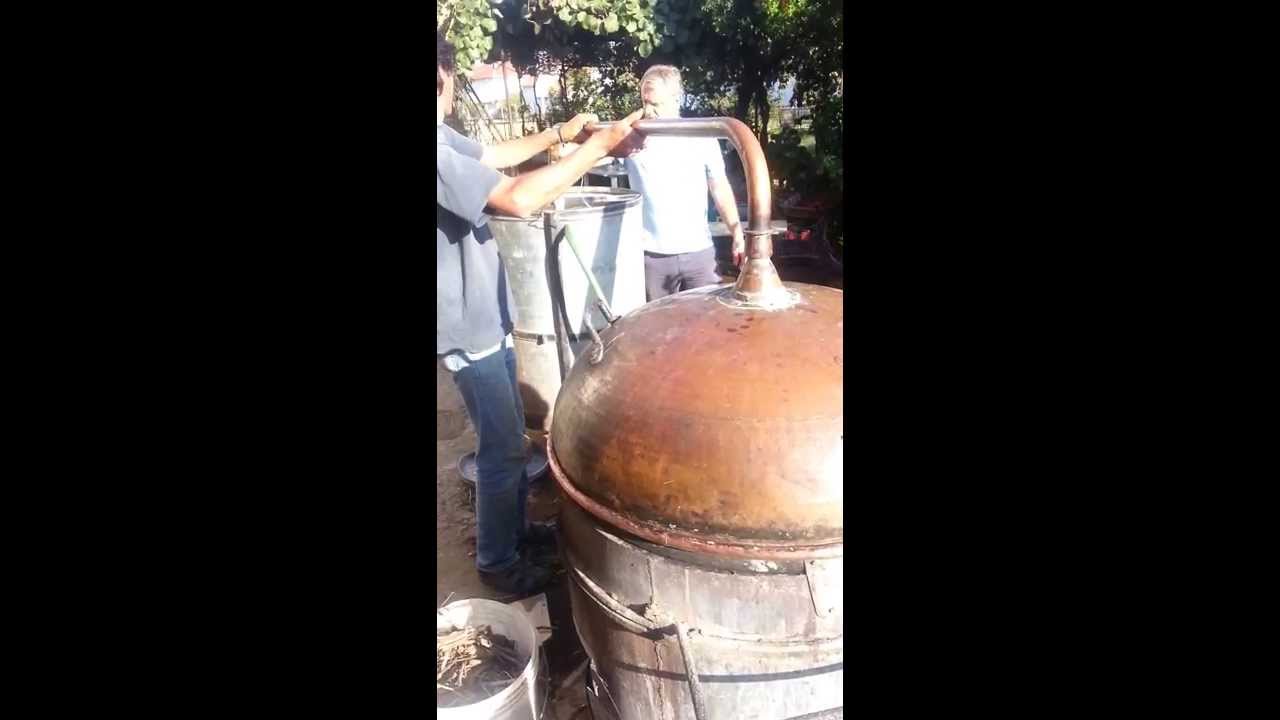 MASTIKA PECENE KAJ ANTICNIO MAKEDONEC TOME CRVENIO OD BOGDANCI 3