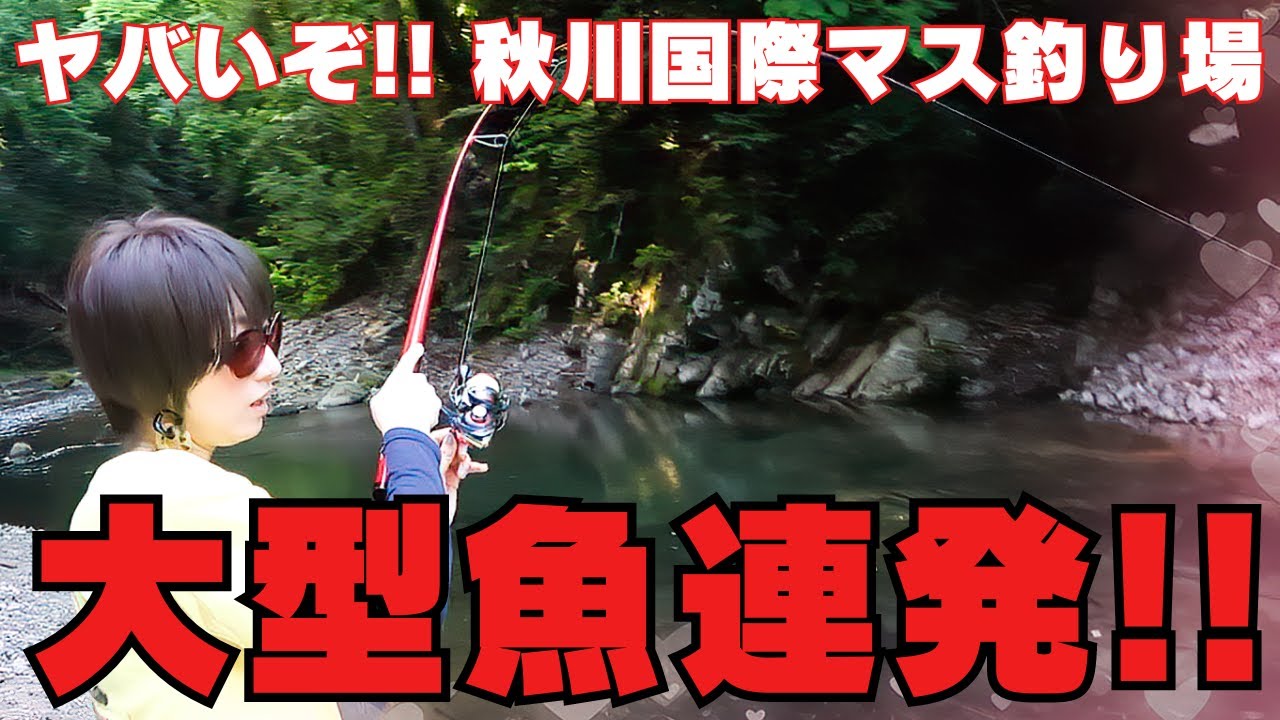 【秋川国際マス釣場】超大物連発！大物釣りたいならこれしかない！！まさに入食い！これが秋川国際さんの本領だ！
