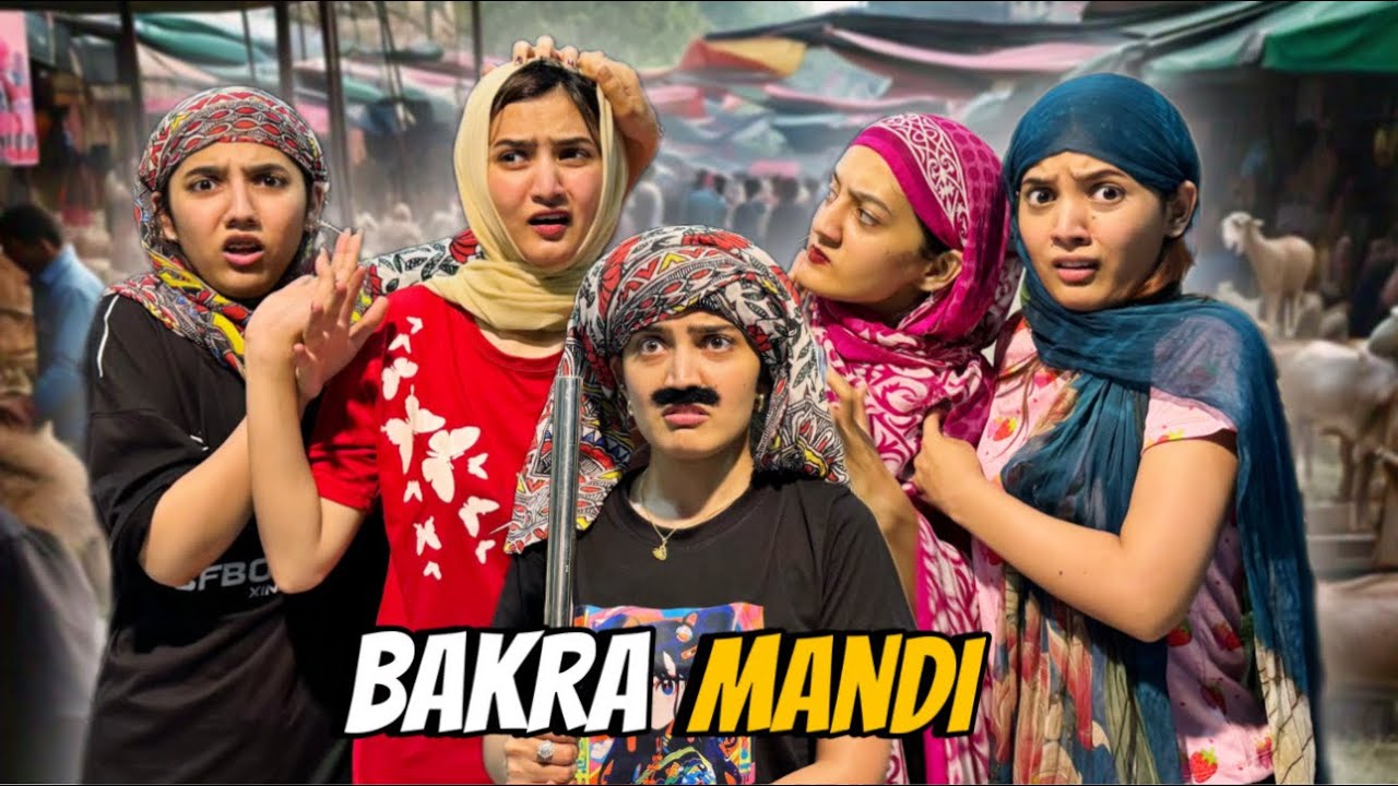 Bakra Mandi mein Larayi 😱|Ghar per Bakray agaye | Sistrology