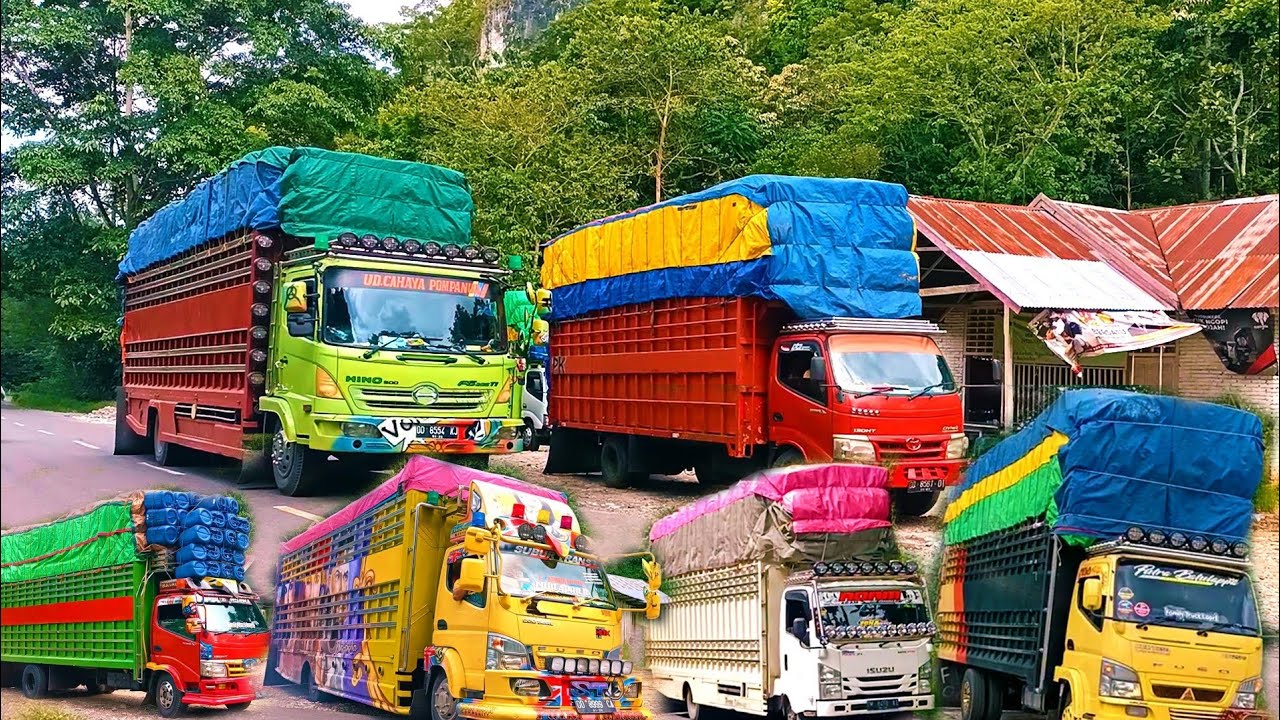 mobil truk Sulawesi,ketemu pengemudi truk berbagi arah,