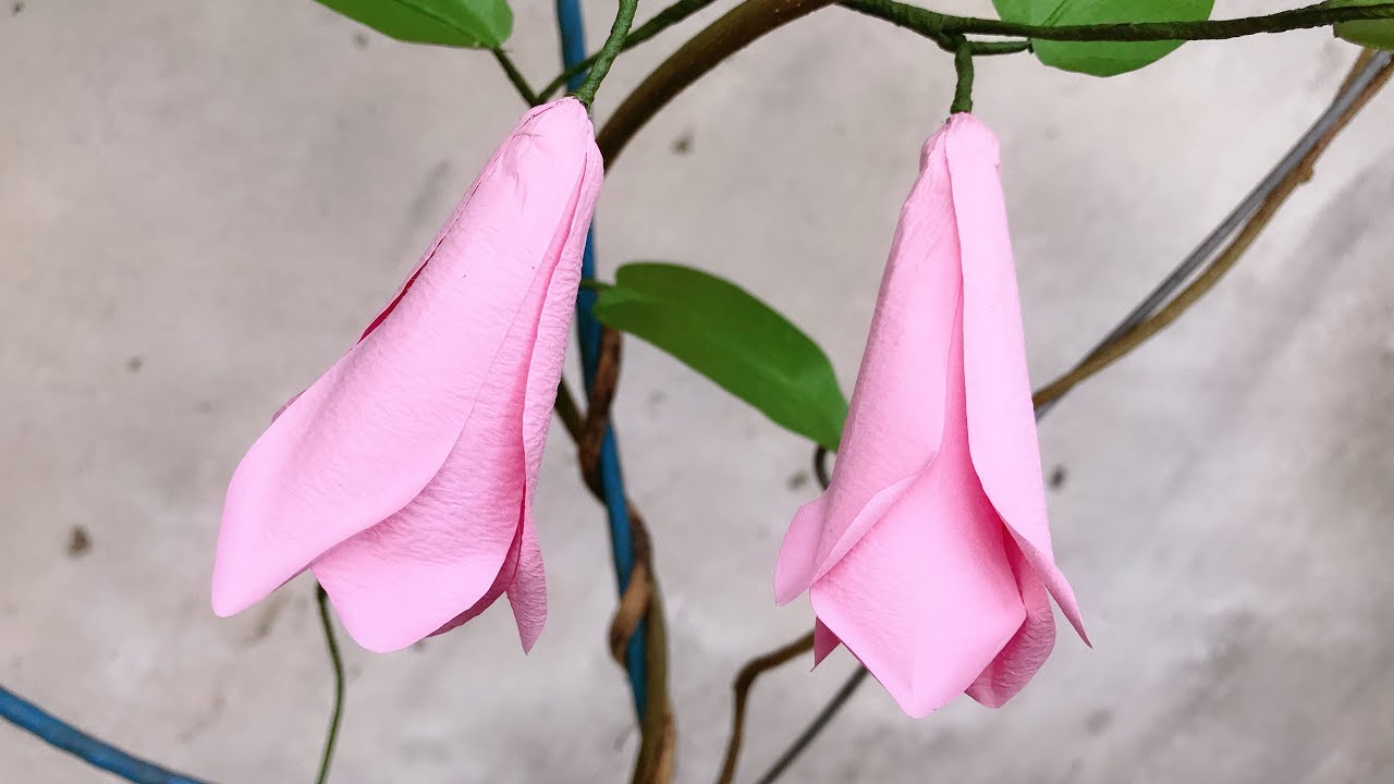 ABC TV | Как сделать Lapageria Rosea Paper Flower - учебник по ремеслу