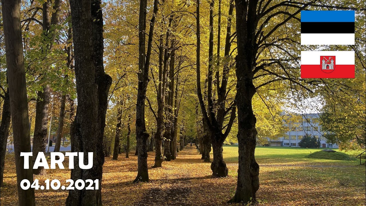 Tartu, Estonia. Autumn walk in Sanatooriumi park. 4K