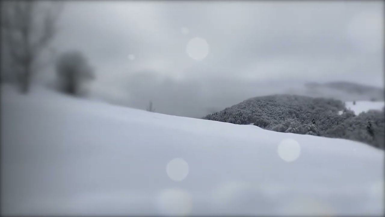 neve p1 Raveo