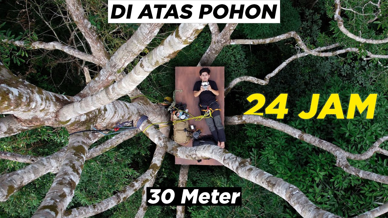 24 JAM di atas Pohon di KALIMANTAN