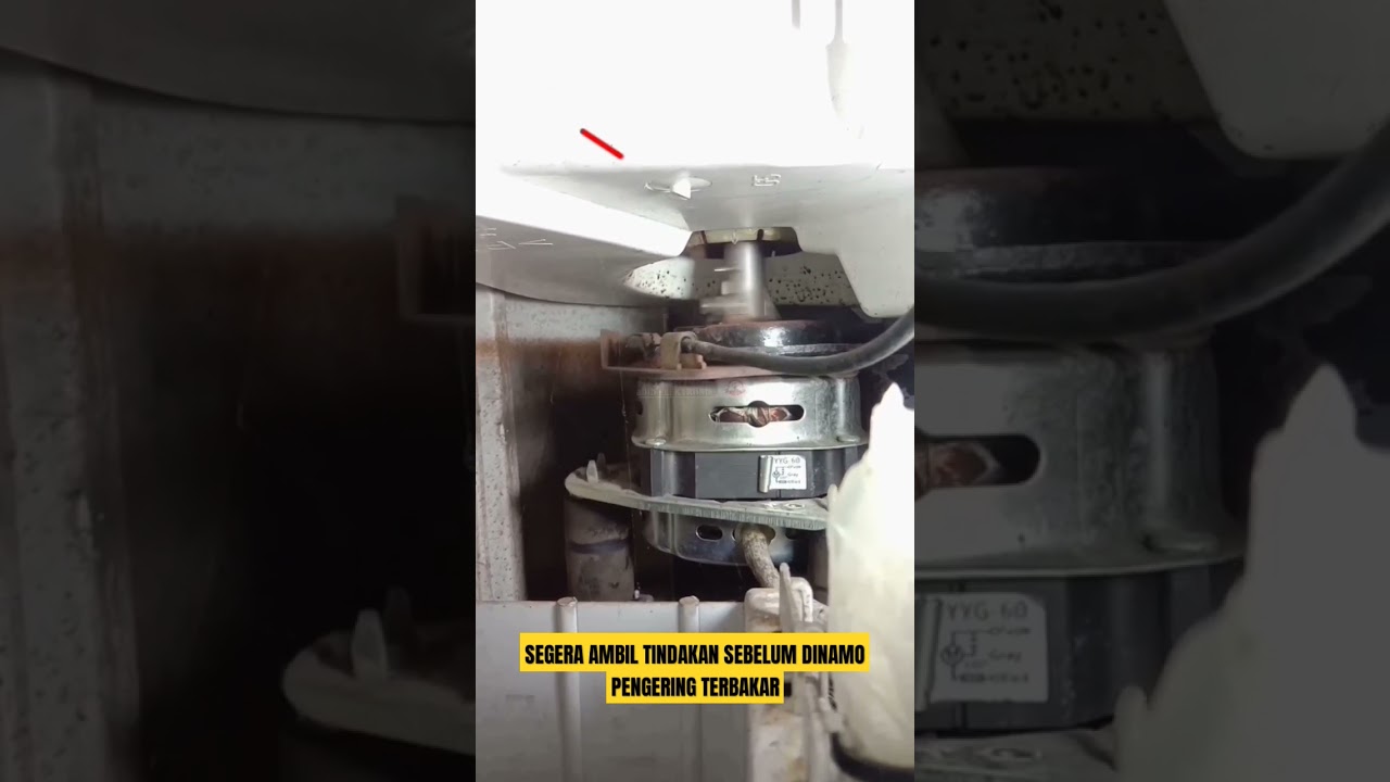 seal pengering mesin cuci bocor#shorts