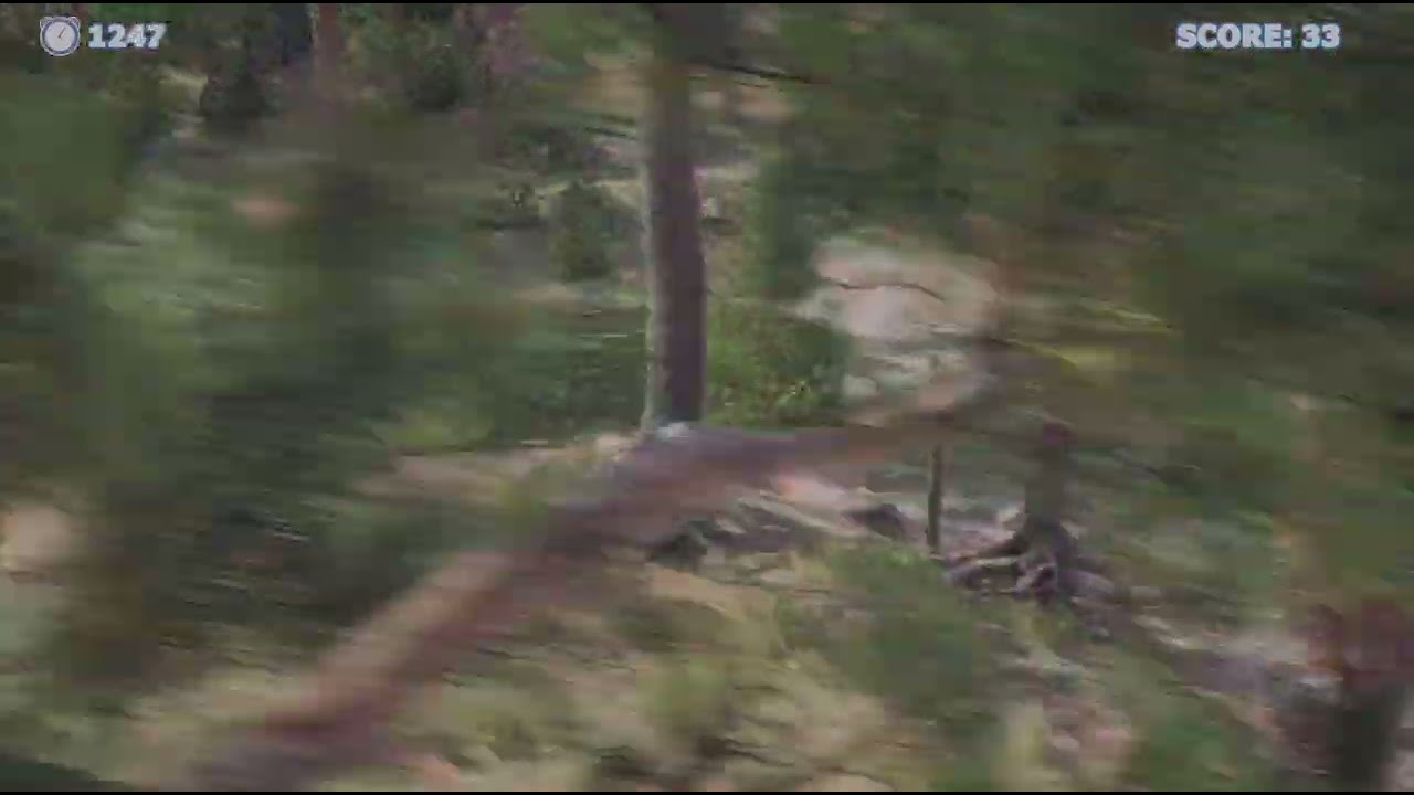 Questo gioco da procione è incredibile!-Racoon v ita-@Doggo_plus4