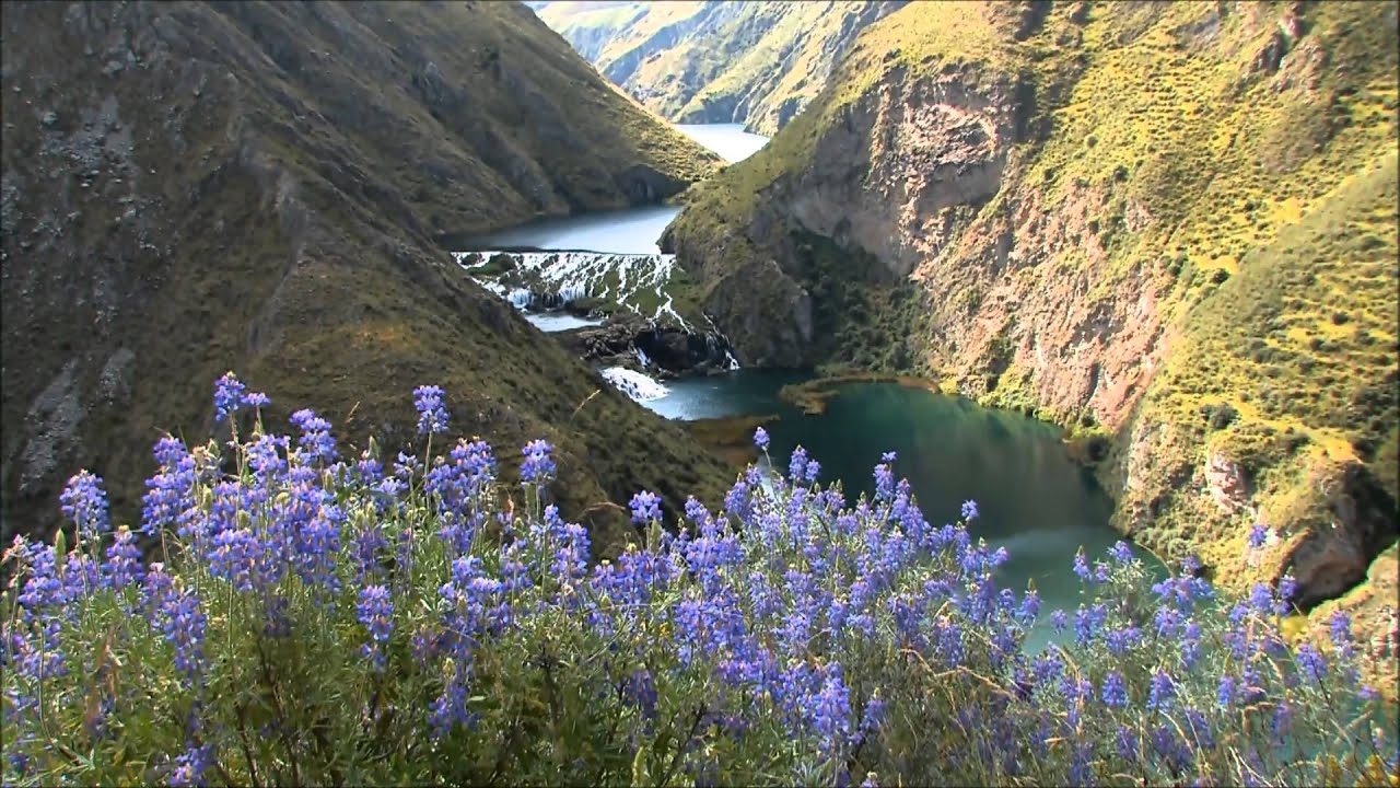 Te olvidaré. Jildo Vivas, Julián Alberto. Los Románticos de Yauyos. Kipala Pampaña.