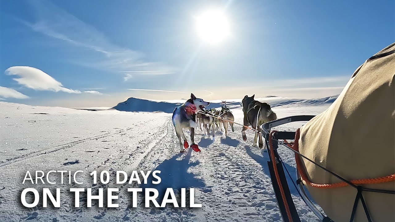 10-Day ARCTIC Winter Camping & Dog Sledding EXPEDITION