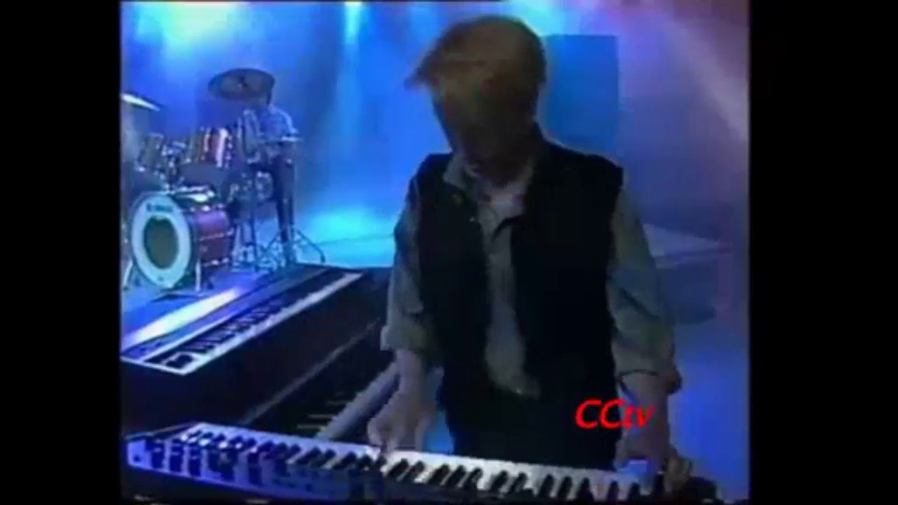 Comite Cisne - La retirada