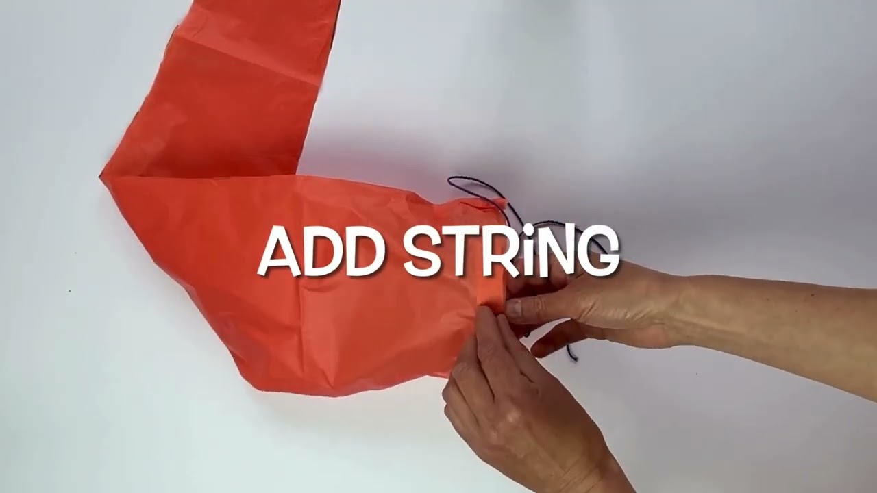 How to make your own Fish Wind Sock!