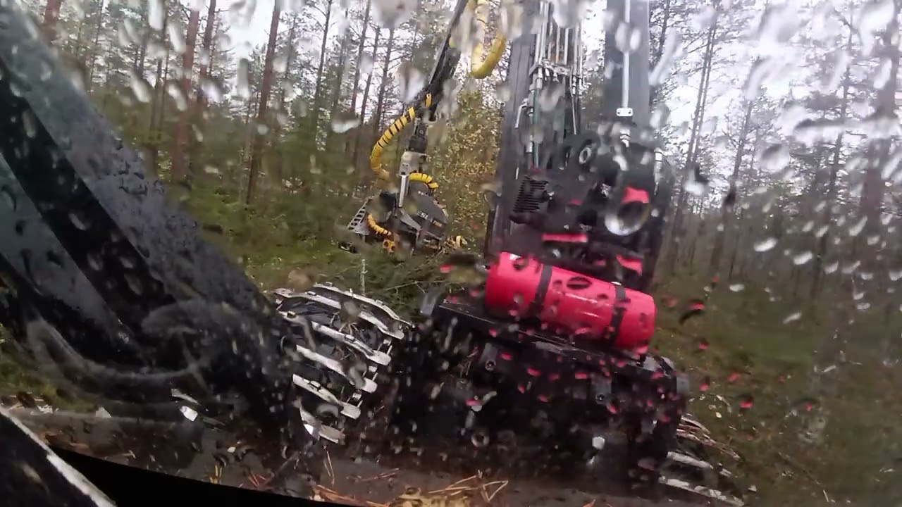 Harvennus ja oja linjan aukasua. Turhan märkä nurkkaus