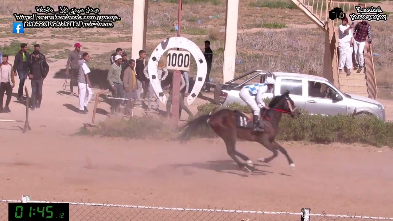 سباق الخيول العربية الأصيلة ميدان سيدي نايل بالجلفة ليوم : 07.04.2023 🐴🐴♥️♥️