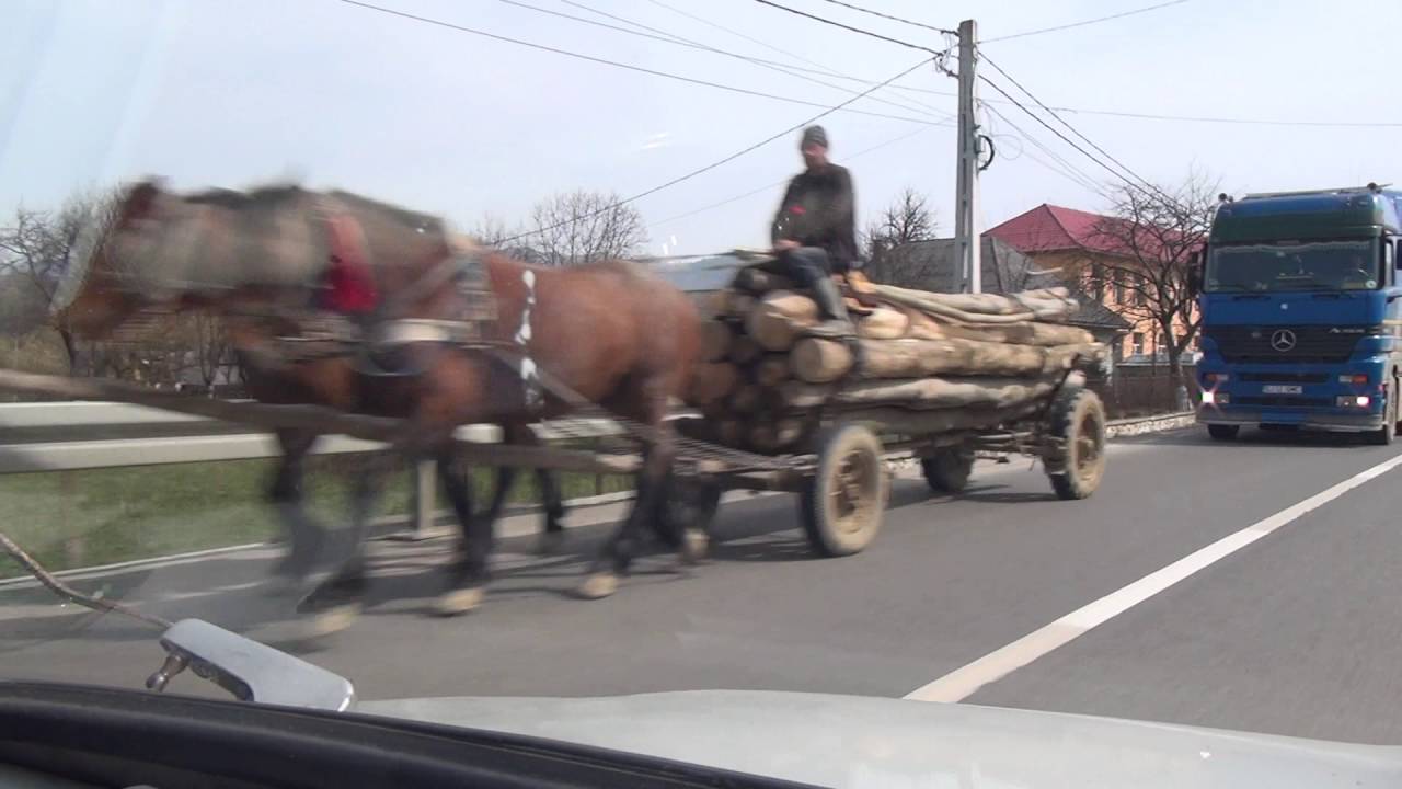 Leordina Vişeu de Jos Mijloc Sus jude țul Maramureș Karpaten Rumänien Romania 4.4.2016