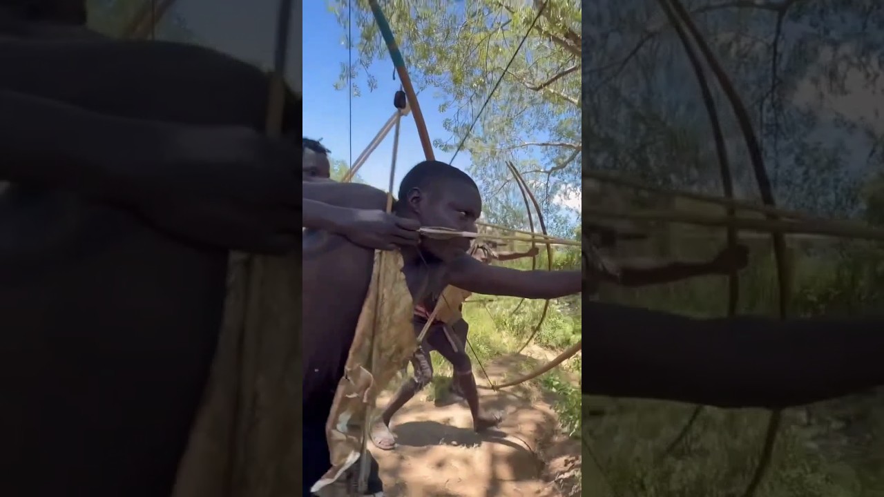 ​They Saw the Treetop Hunter... But Nature Was Faster | Bush Awareness!#shorts#wildlife