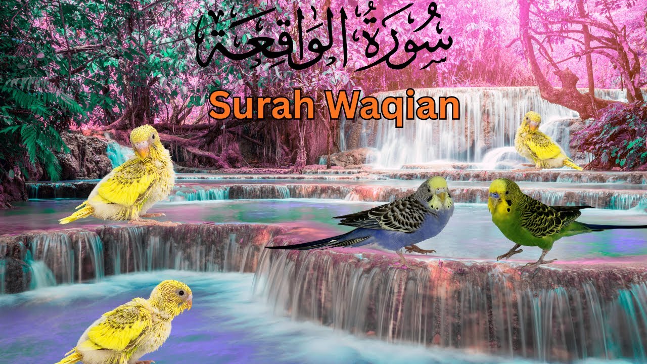 Surah Al-Waqiah (سورۃ الواقعہ) | Heart-Touching & Calming Recitation #surahyaseen