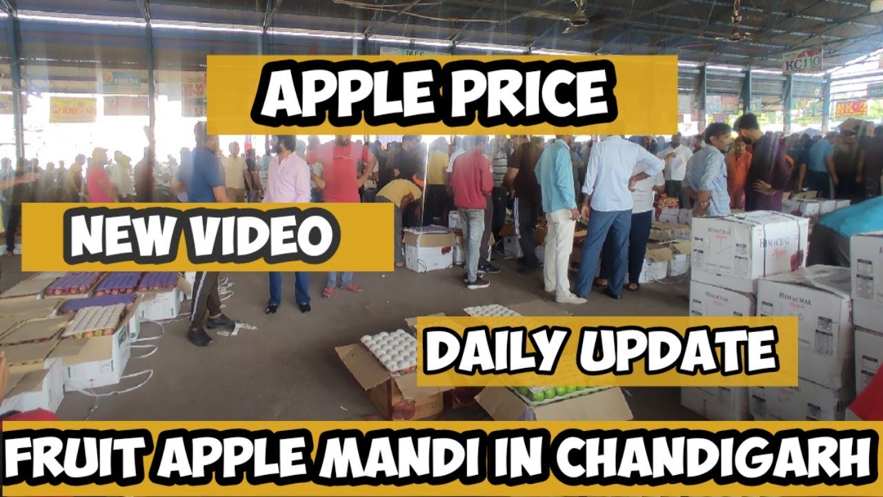 fruit apple mandi (market) in Chandigarh 1 Fruit apple mandi in (market) panchkula सेब मंडी चंडीगढ़