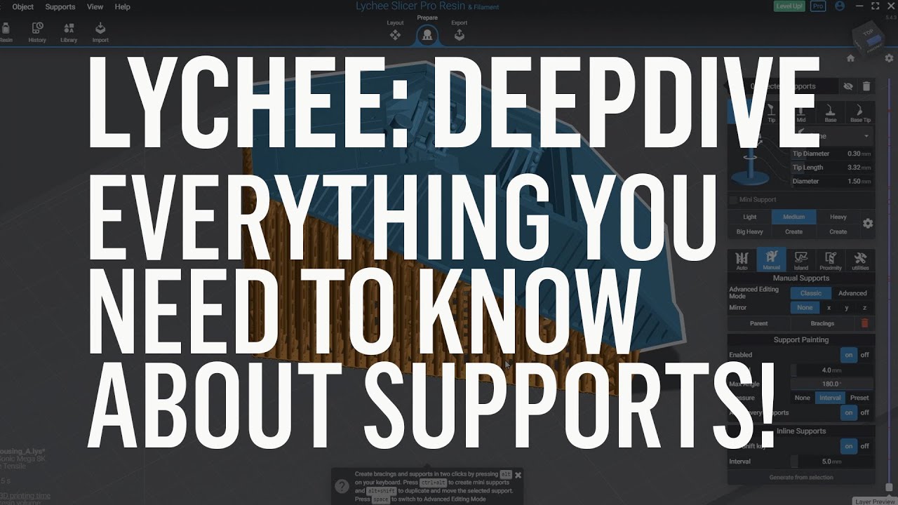 Lychee Slicer: Everything you need to know about supports!