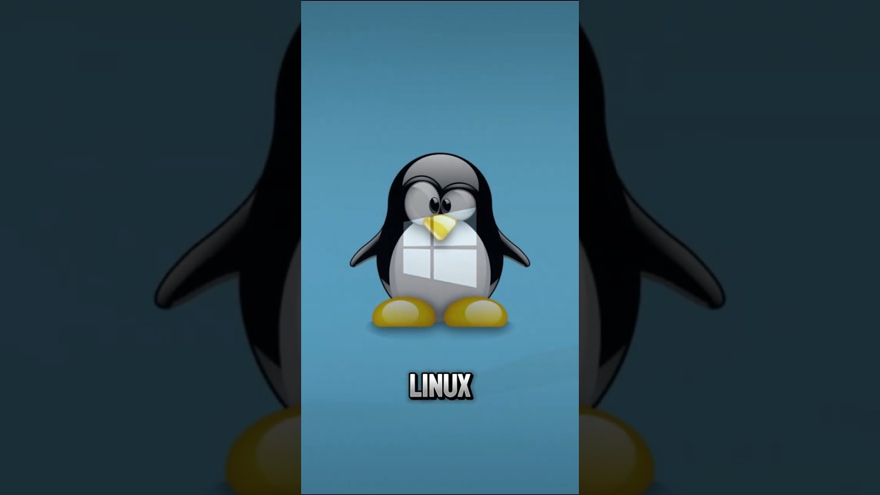Afinal... qual a melhor distro do linux para desenvolvedores usarem?
