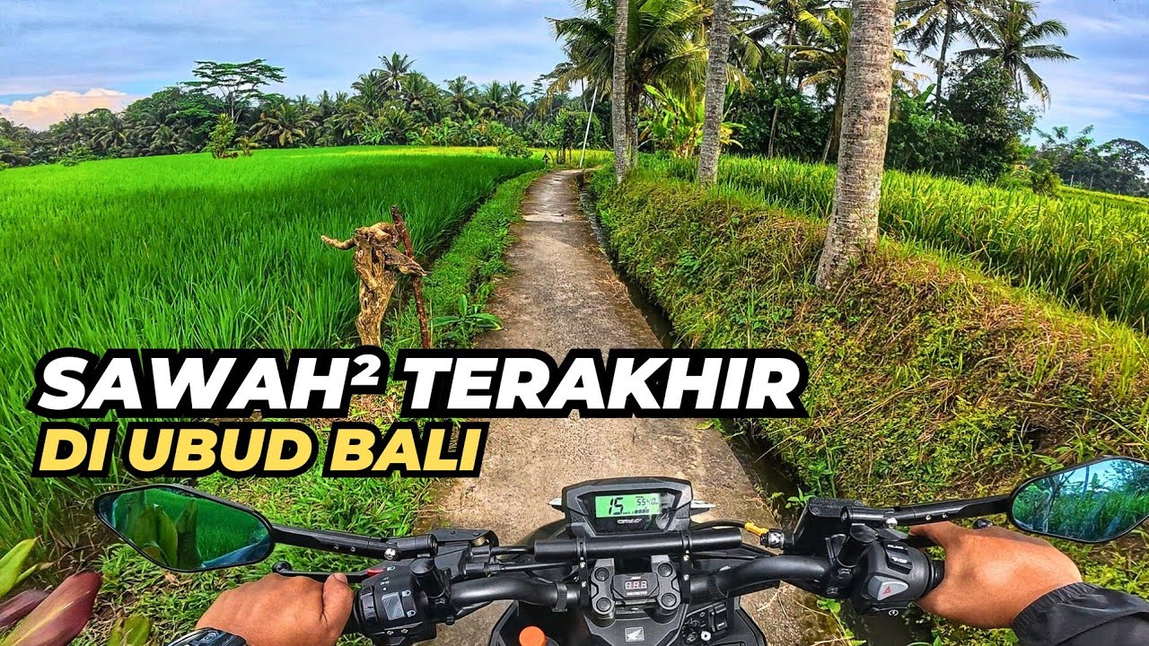 UBUD GIANYAR BALI UPDATE AGUSTUS 2025 | SAWAH TERAKHIR DI UBUD BALI 