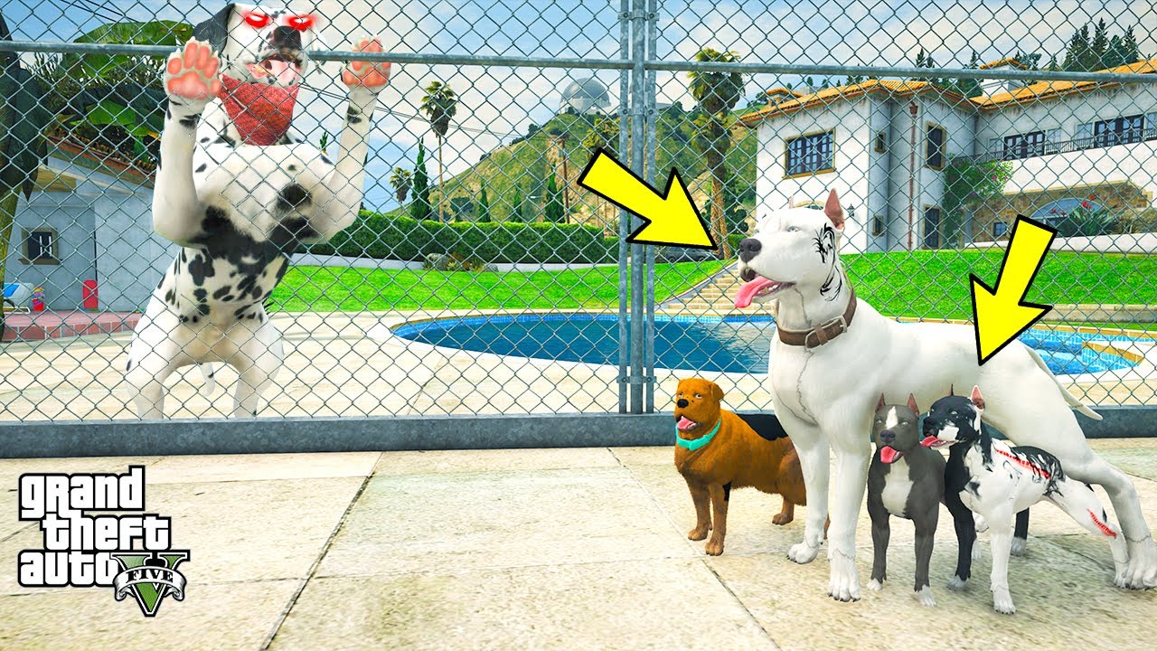 EJDER DÖVMELİ MİKE'IN BİLE KORKTUĞU KÖPEK EVİMİZİ BASIYOR! - GTA 5