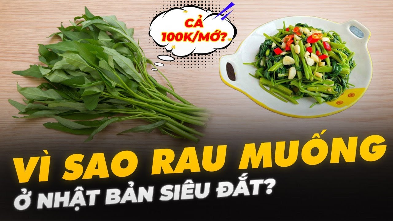 VÌ SAO RAU MUỐNG Ở NHẬT BẢN SIÊU ĐẮT?