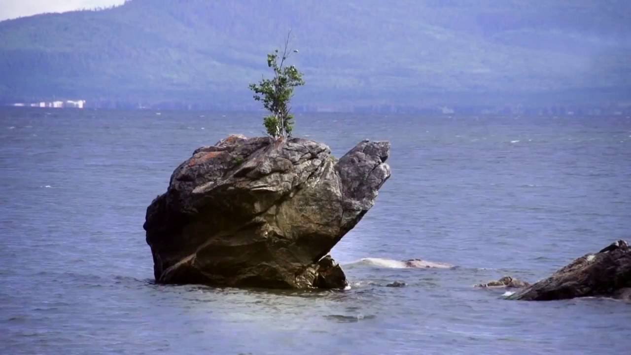 Dangina kinonii duu Duuchin Tserenchunt Mongol