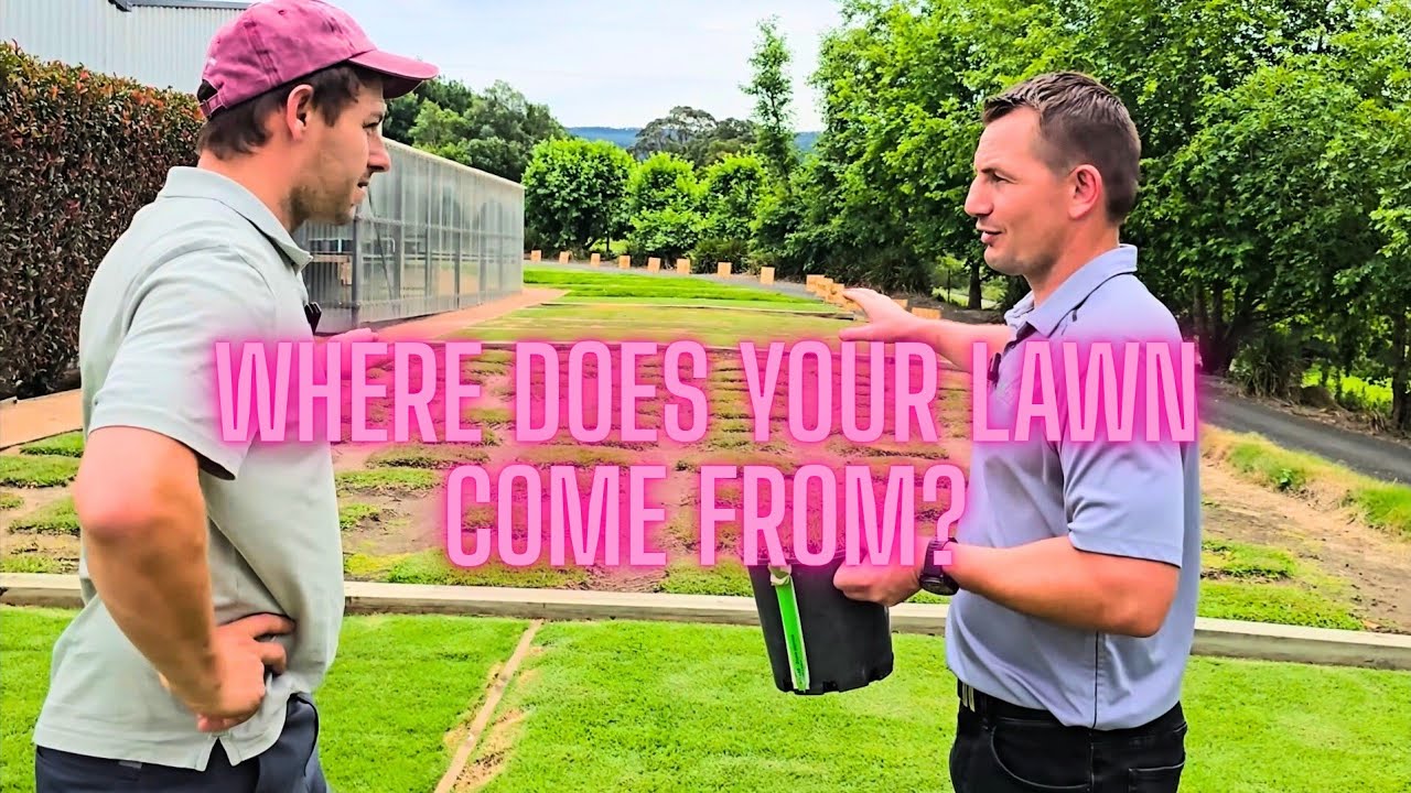 Mind Blowing Visit to Lawn Solutions Australia