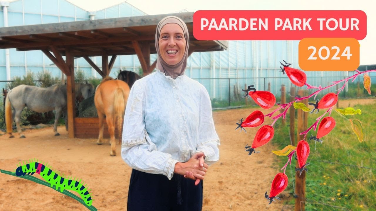 Nieuwe Paarden in ons Paarden Park | Staltour | Paddock Paradise | 𝘚𝘯𝘶𝘪𝘵𝘢𝘣𝘭𝘦