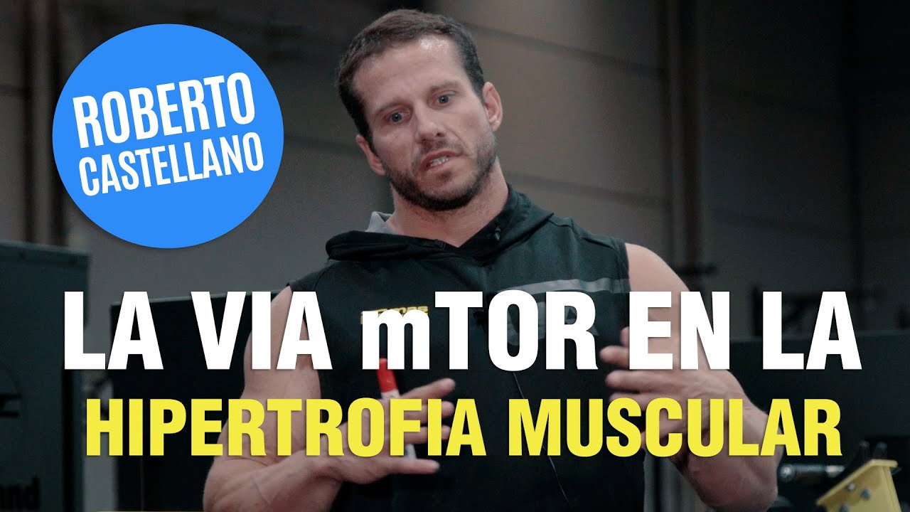 🚨 LA IMPORTANCIA DE LA VÍA mTOR PARA LA HIPERTOFIA MUSCULAR 💪