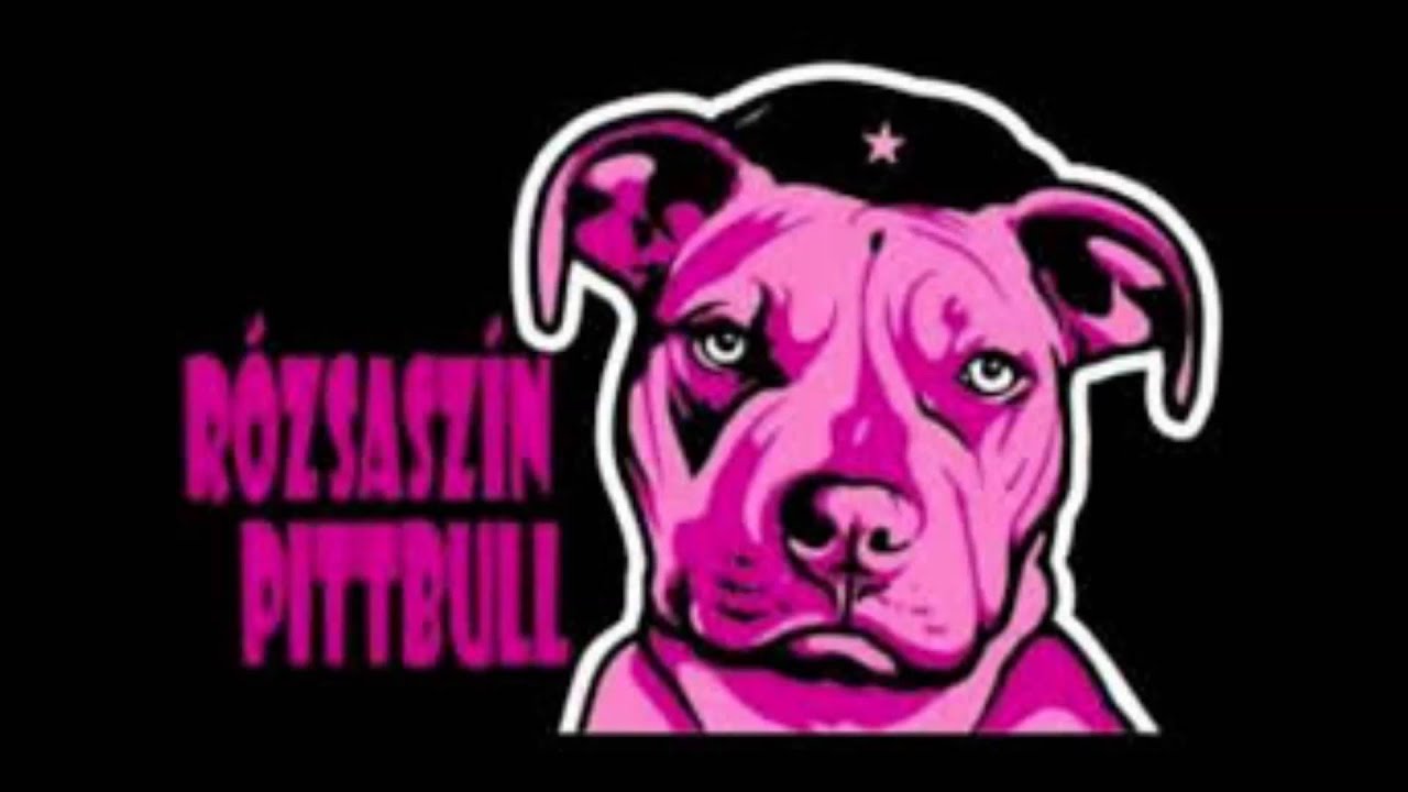 Rózsaszín Pitbull: [1.]Válogatás