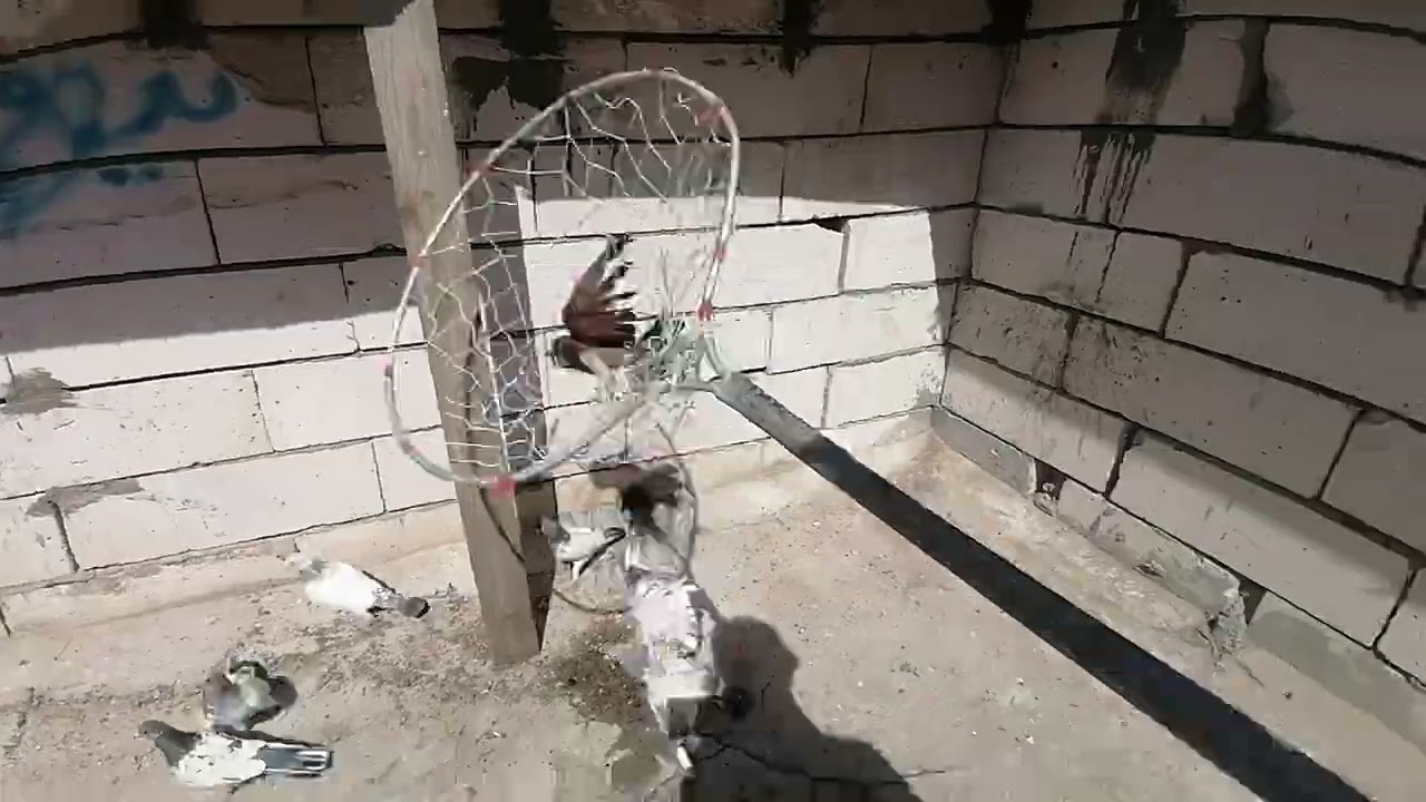 ٦ آذار، ٢٠٢٦