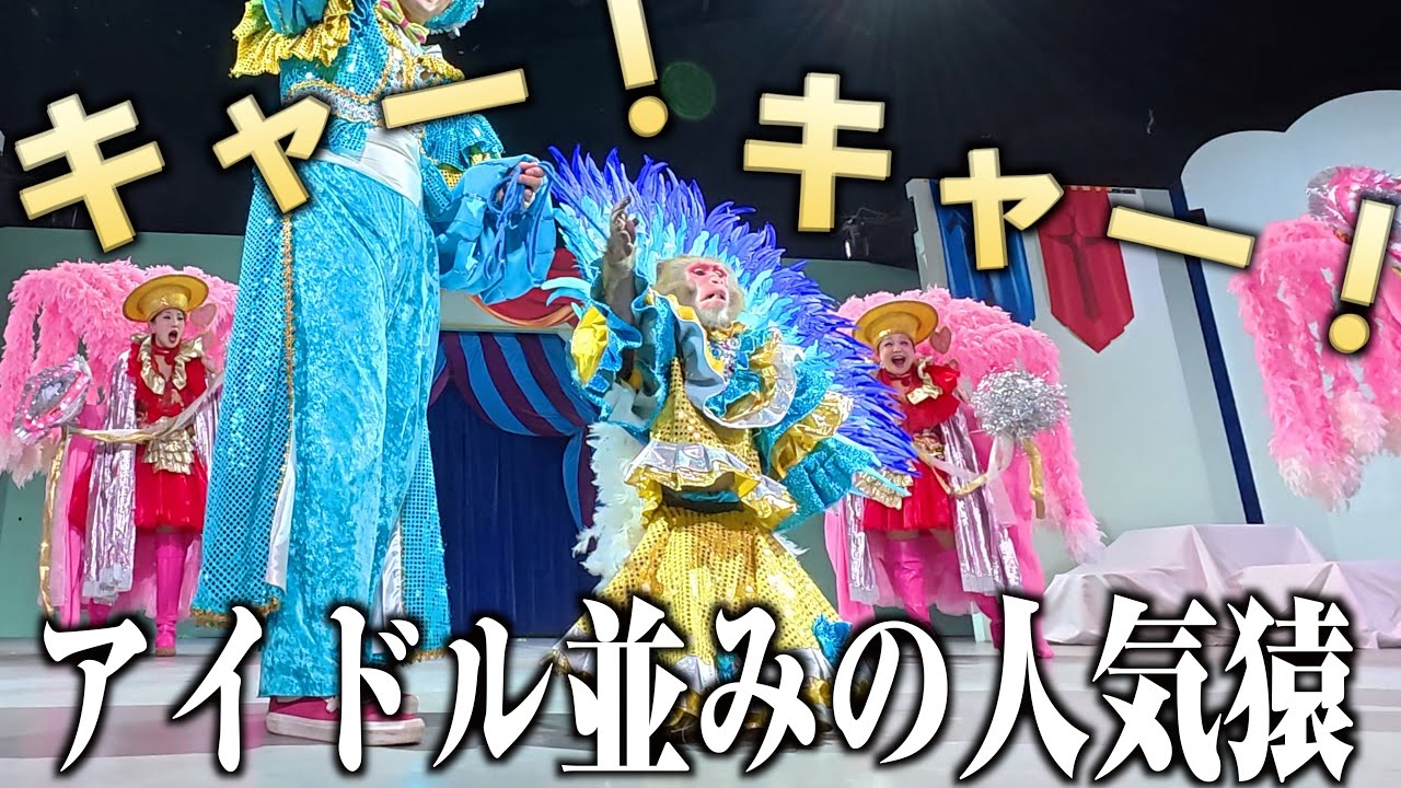 日本一の大人気ニホンザルの誕生日会がヤバすぎる