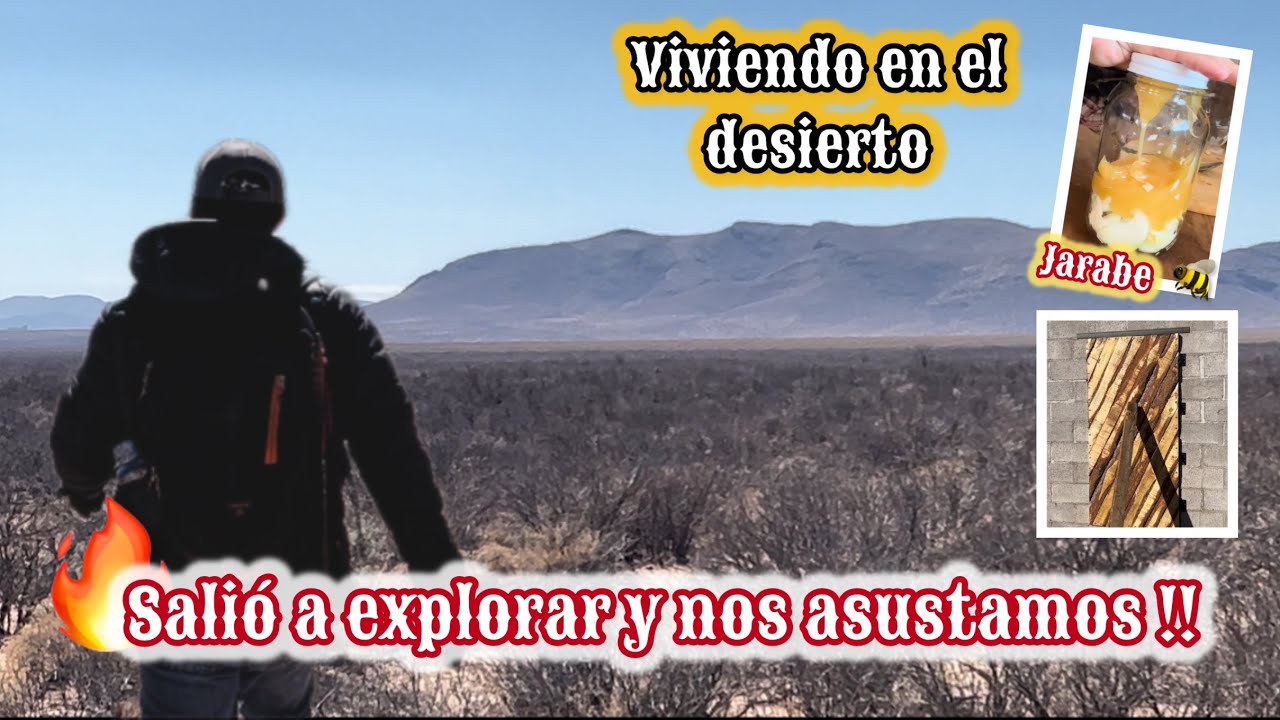 172~ COYOTES MIENTRAS TRABAJABAMOS🔥CAMBIAMOS DE IDEA // JARABE 🐝  #campo #vlog